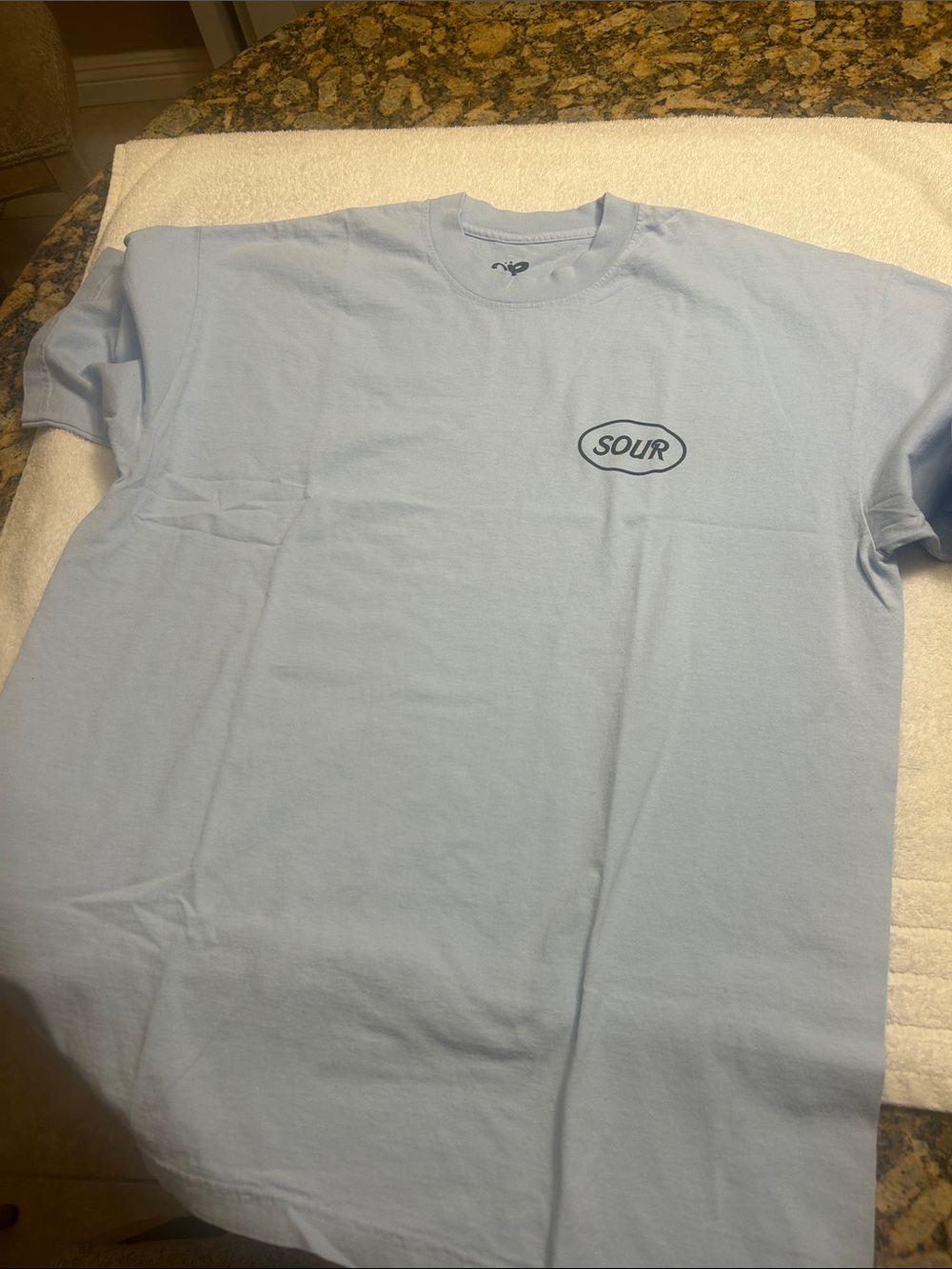 Women’s Crew Neck T-Shirt in Light Blue